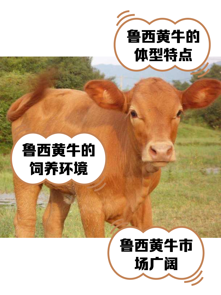 金昌最新医保取现黄牛方法分析(最方便真实的金昌医保取现黄牛怎么取方法)